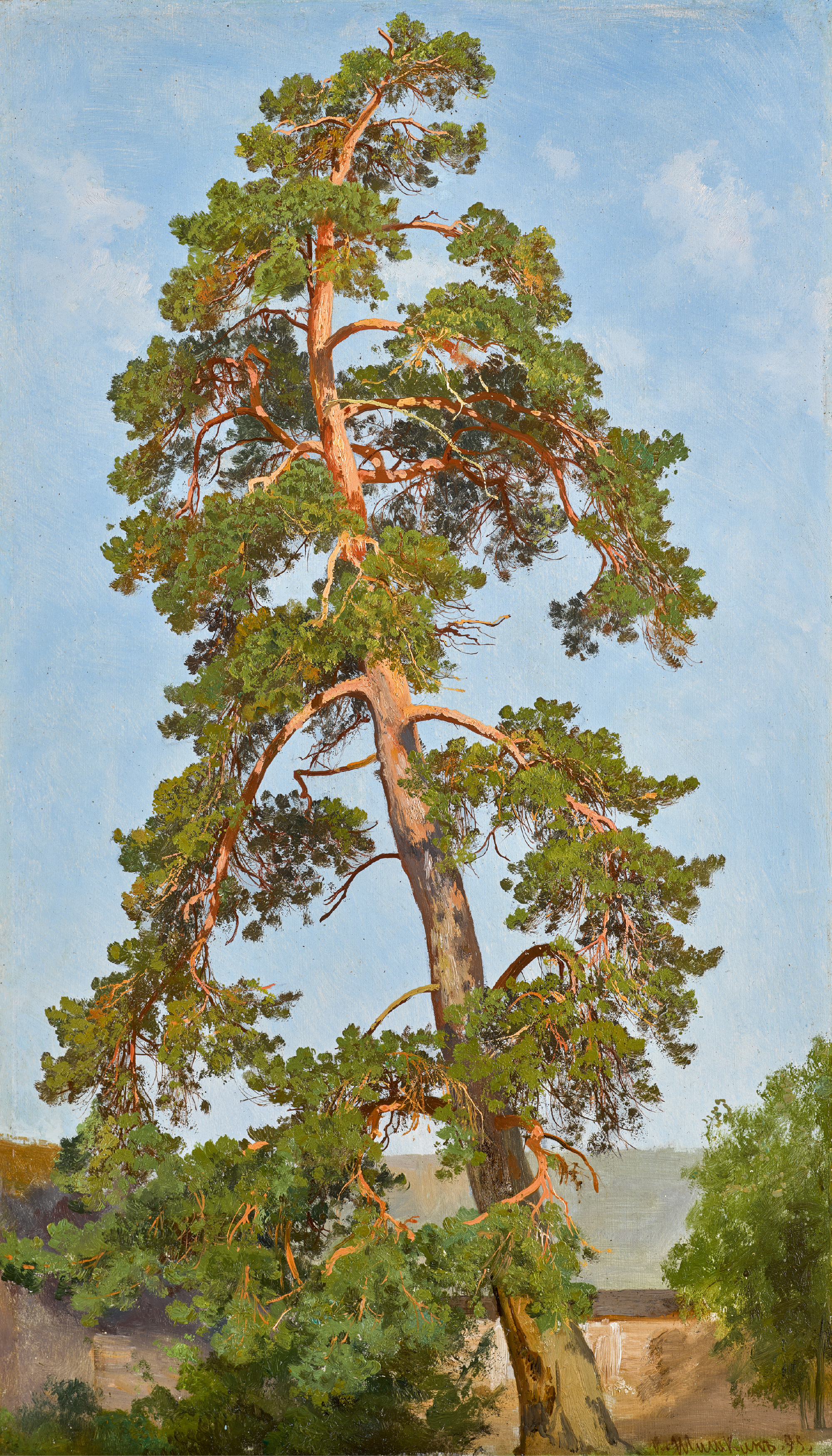 IVAN IVANOVICH SHISHKIN | Pine Tree